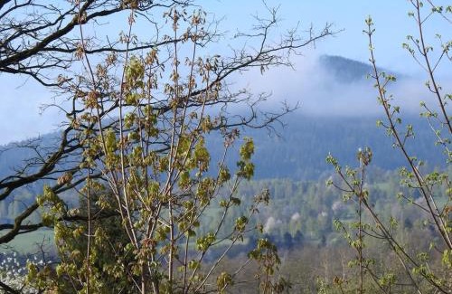 Stronie Slaskie Apartment | ApartamentStronieŚląskie