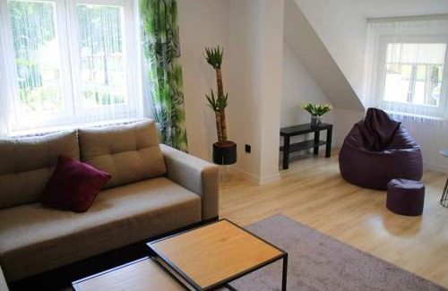Lesko Apartment | Apartamenty Fredry