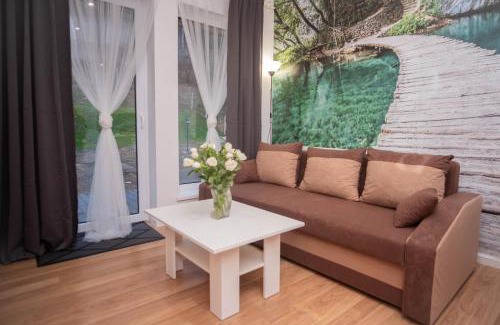 Stronie Slaskie Apartment | Apartamenty GoszoWita