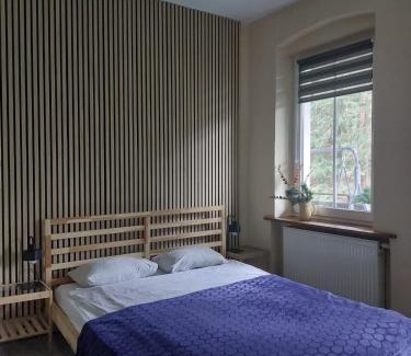 Miedzygorze Apartment | Apartamenty Kaskada