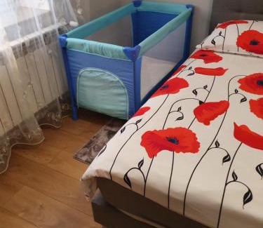 Kudowa Zdroj Apartment | APARTAMENTY Kudowa Zdrój - Słone