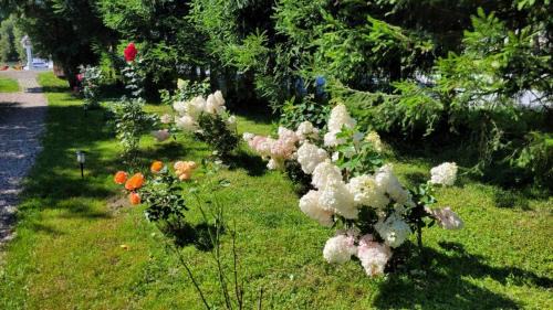 Trzebieszowice Apartment | Apartamenty Stokrotka