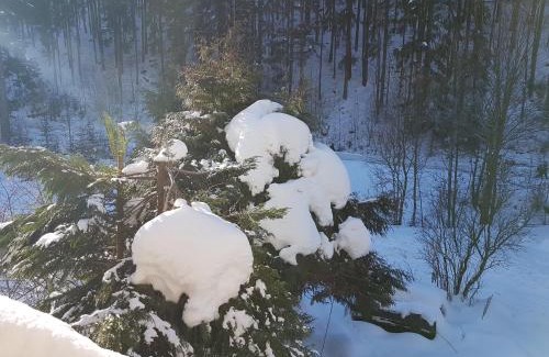 Miedzygorze Apartment | Apartamenty u Sikory