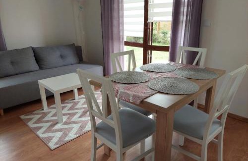 Naleczow Apartment | Apartamenty Zdrojowe