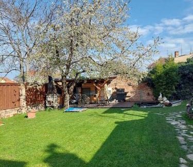 Dolni Dunajovice Apartment | Apartmá U rybníčku