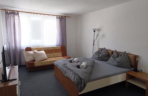 Cerna V Posumavi Apartment | Apartmán Černá v Pošumaví Adam a Eva