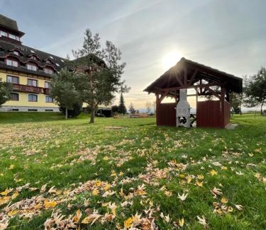 Velka Lomnica Apartment | Apartmán D3