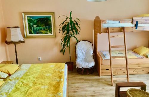 Olomouc Apartment | Apartmán Flora