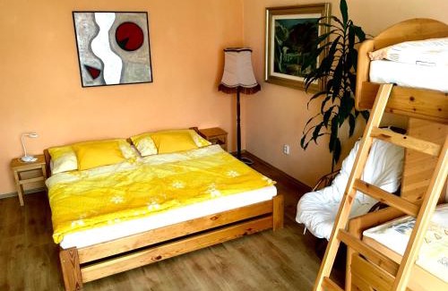 Olomouc Apartment | Apartmán Flora