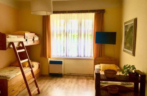 Olomouc Apartment | Apartmán Flora