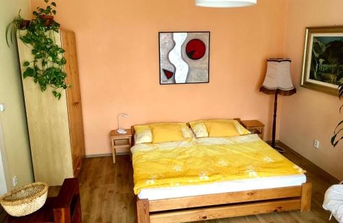 Olomouc Apartment | Apartmán Flora