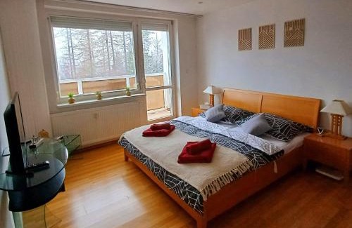 Vysoke Tatry Apartment | Apartmán Gerlach - 4 balconies mountain view