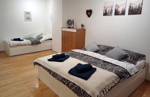 Vysoke Tatry Apartment | Apartmán Gerlach - 4 balconies mountain view