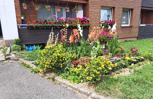 Liberec Apartment | Apartmán Hanychov