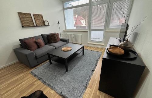 Luhacovice Apartment | Apartmán Luhačovice III.