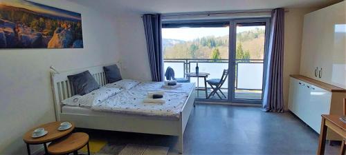 Janov nad Nisou Apartment | Apartmán Na kraji lesa