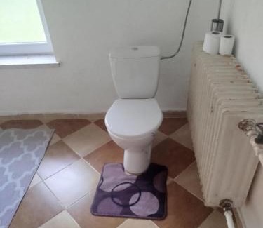 Zlate Hory House | Apartmán Na Myslivecké