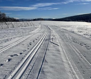 Nove Hute Apartment | Apartmán Nové Hutě Šumava
