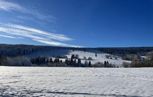 Nove Hute Apartment | Apartmán Nové Hutě Šumava