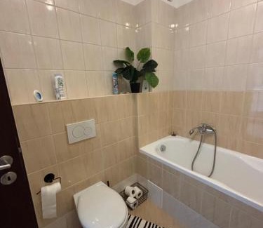 Dubnica nad Vahom Apartment | Apartmán ORION