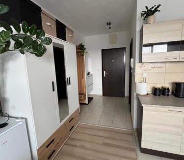 Dubnica nad Vahom Apartment | Apartmán ORION