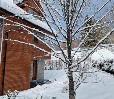 Myto pod Dumbierom Apartment | Apartmán Piri