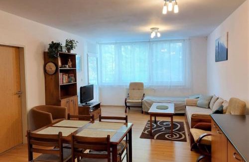 Strbske Pleso Apartment | Apartmán s parkovaním priamo na Štrbskom Plese