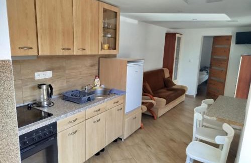 Cerveny Kostelec Apartment | Apartmán s terasou