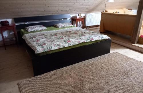 Lulec Apartment | apartmán U dědy Lubina