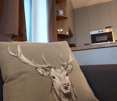 Loucna Pod Klinovcem Apartment | Apartmán U Jelena