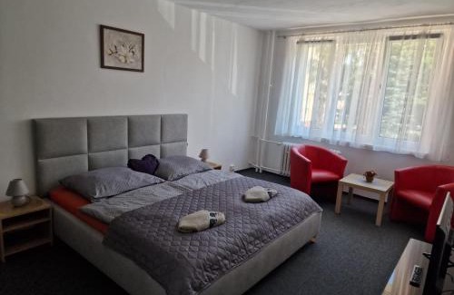 Karlovy Vary Apartment | Apartmán U Petra