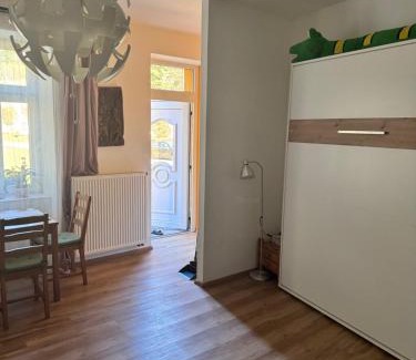 Teplice nad Metuji Apartment | Apartmán U Splavu