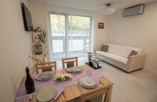 Janov nad Nisou Apartment | Apartmán víla Amálka