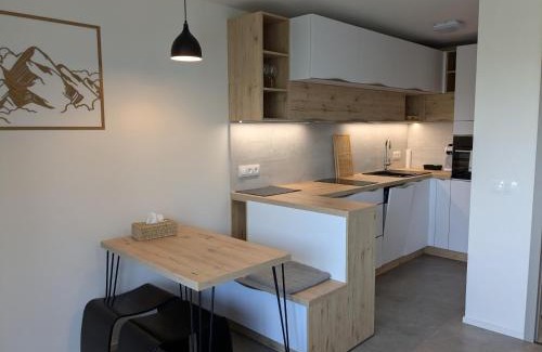 Janov nad Nisou Apartment | Apartmán v Jizerkách