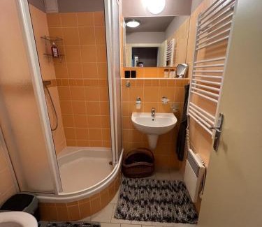 Ricky v Orlickych horach Apartment | Apartmán v Srdci hor - Říčky v Orlických horách