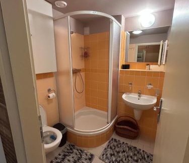 Ricky v Orlickych horach Apartment | Apartmán v Srdci hor - Říčky v Orlických horách