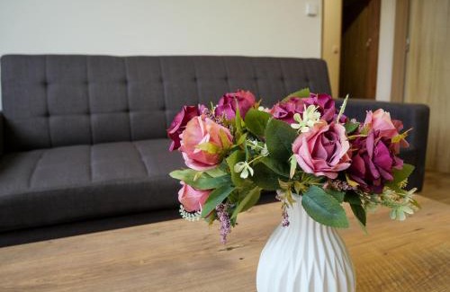 Novy Hrozenkov Apartment | Apartmánový byt Kristýna