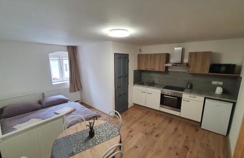 Cerna V Posumavi Apartment | Apartmány ČERNÝ KOHOUT