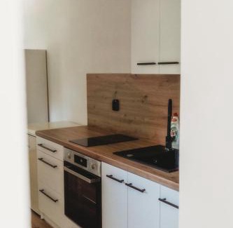 Josefov Dul Apartment | Apartmány Borovice