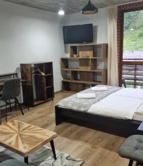 Dobsinska Masa Apartment | Apartmány Mlynky - Slovenský raj