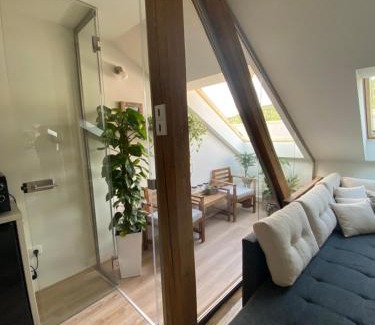 Jesenik Apartment | Apartmány Revenite