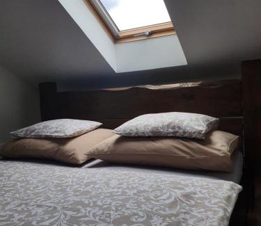 Dolni Rychnov Apartment | Apartmány Silvestr