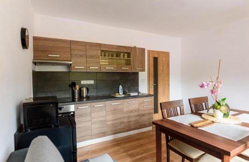 Horni Radechova Apartment | Apartmány Slavíkov - Country Suite