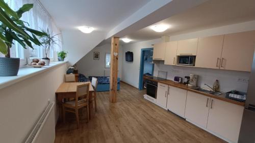 Svoboda nad Upou Apartment | Apartmány stará škola