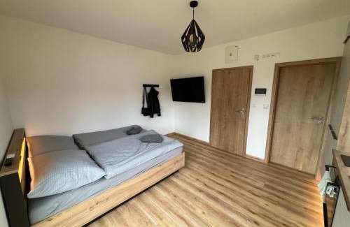 Cerna V Posumavi Apartment | Apartmány u pláže Lipna - Malé Lipno