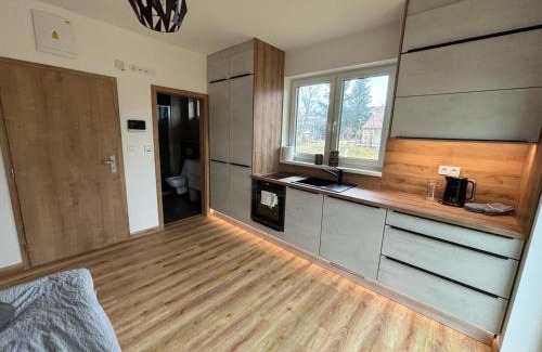 Cerna V Posumavi Apartment | Apartmány u pláže Lipna - Malé Lipno