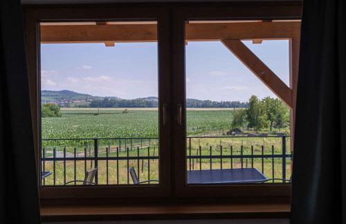 Dolni Dunajovice House | Apartmány Vinařství Šebesta