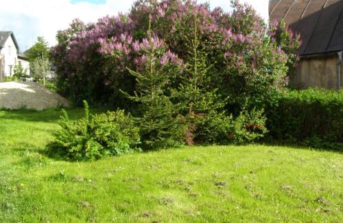 Stare Mesto House | Apartmány Windy