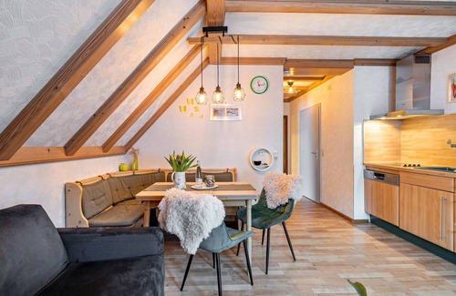 Bad Rippoldsau-Schapbach Apartment | Apartment '6' with Mountain View, Shared Terrace and Wi-Fi