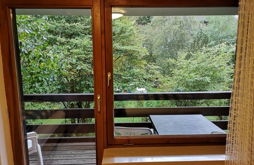 Menzenschwand-Hinterdorf Apartment | Apartment B1 f. 4 persons